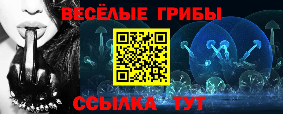 Аша  Галлюциногенные грибы мухоморы  Псилоцибиновые грибы Magic Shrooms  Вход с VPN 